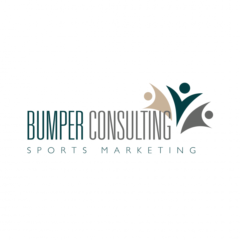 THE SHAPE BUMPER CONSULTING BRANDING